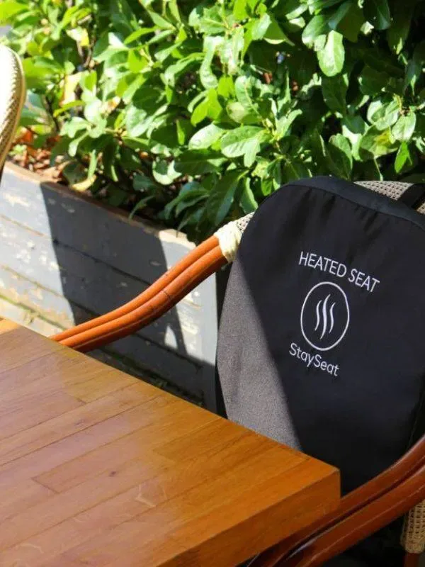Stayseat